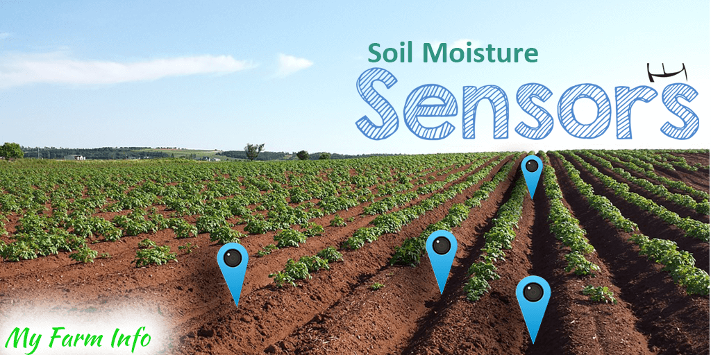 The-Importance-of-Soil-Moisture-Sensors-for-farmers-and-how-it-can-increase-profitability